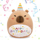 cute capybara plush pillow with birthday hat and colorful happy birthday embroidery